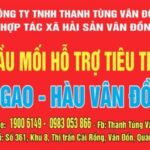 Hỗ trợ tiêu thụ ngao – hàu Vân Đồn