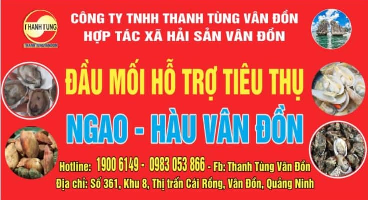 Hỗ trợ tiêu thụ ngao – hàu Vân Đồn